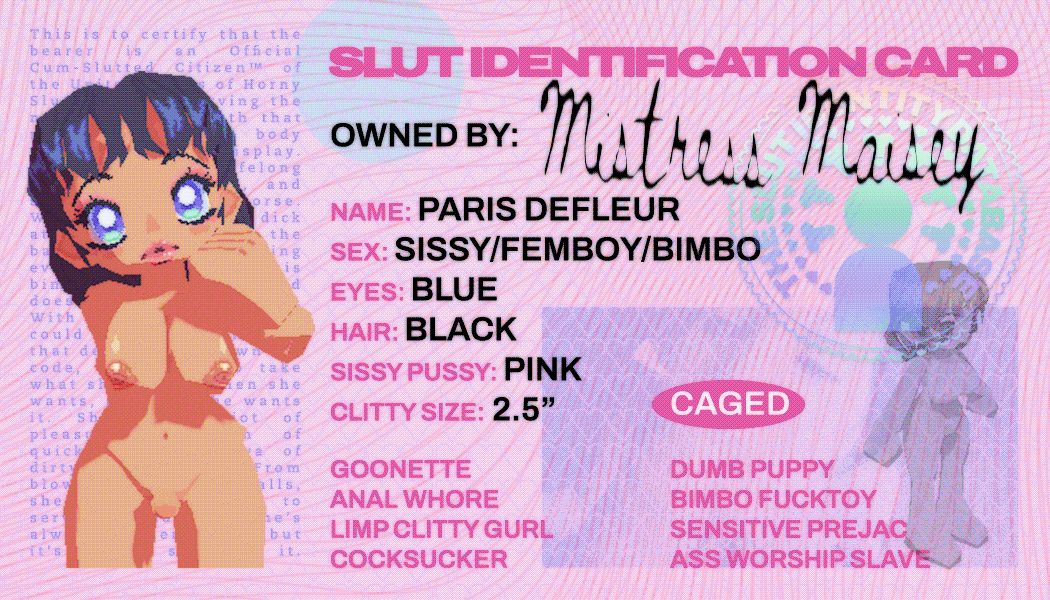 Paris' ID Card Paris' ID Card